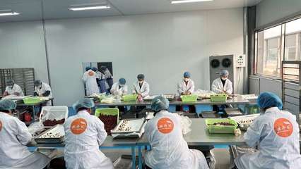 攜手阿里，智造未來 裕鑫博康借力淘工廠加速產(chǎn)業(yè)數(shù)字化升級